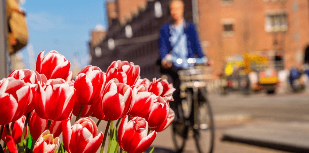 Dni wolne i święta w Holandii